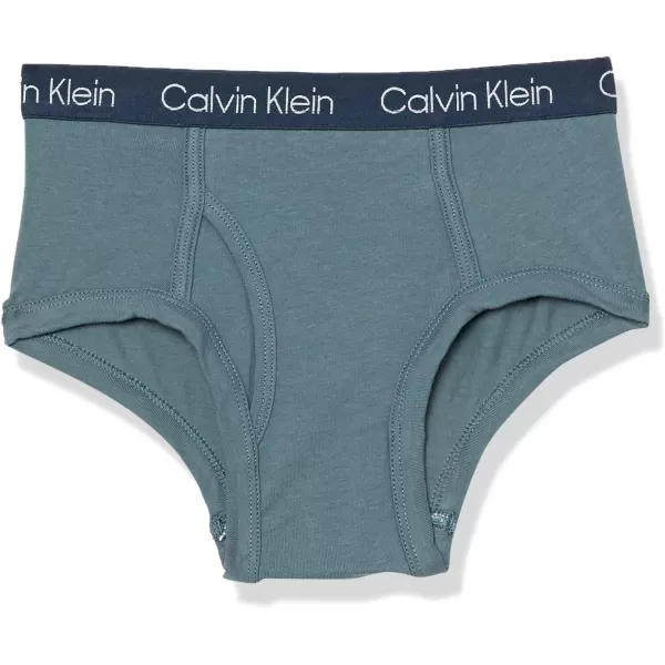Calvin Klein Boys Little Modern Cotton Assorted Briefs Underwear 3 PackCamostripe Pk