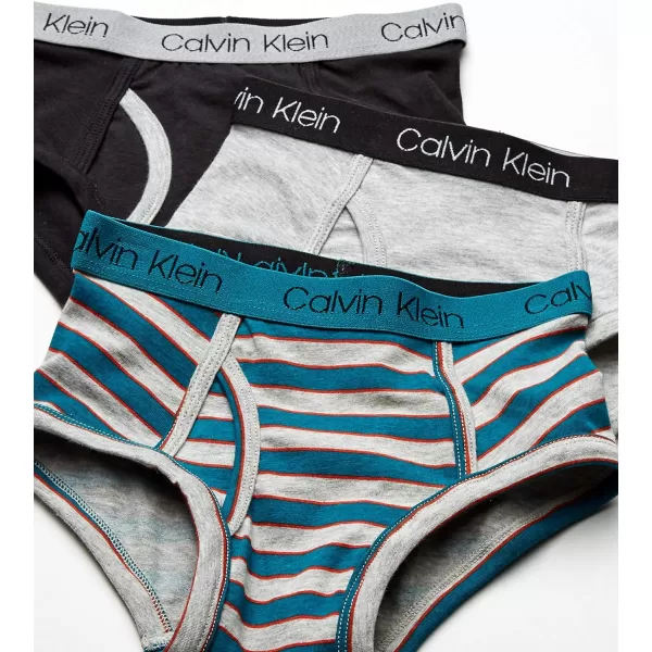 Calvin Klein Boys Little Modern Cotton Assorted Briefs Underwear 3 PackCastle Rock Haight Risk Red Pop Camo Lava