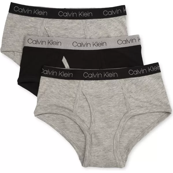 Calvin Klein Boys Little Modern Cotton Assorted Briefs Underwear 3 PackHeather Grey Black Heather Grey