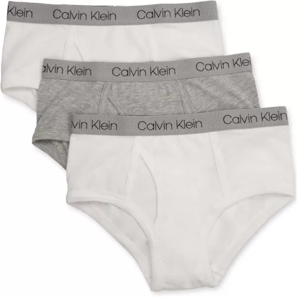 Calvin Klein Boys Little Modern Cotton Assorted Briefs Underwear 3 PackHeather Grey Classic White Classic White