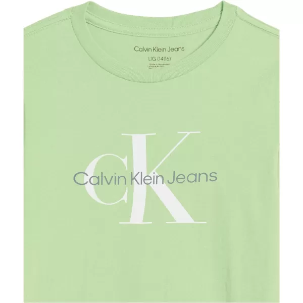 Calvin Klein Boys Short Sleeve Logo Crew Neck TShirt Soft Comfortable Relaxed FitLight Green