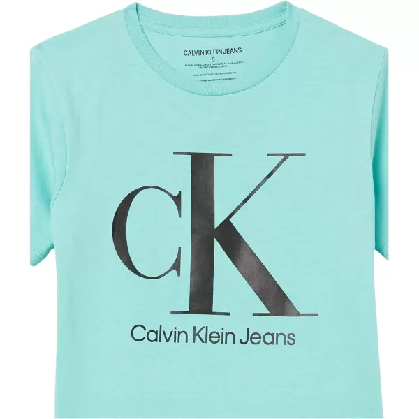 Calvin Klein Boys Short Sleeve Logo Crew Neck TShirt Soft Comfortable Relaxed FitSeafoam Ck Black