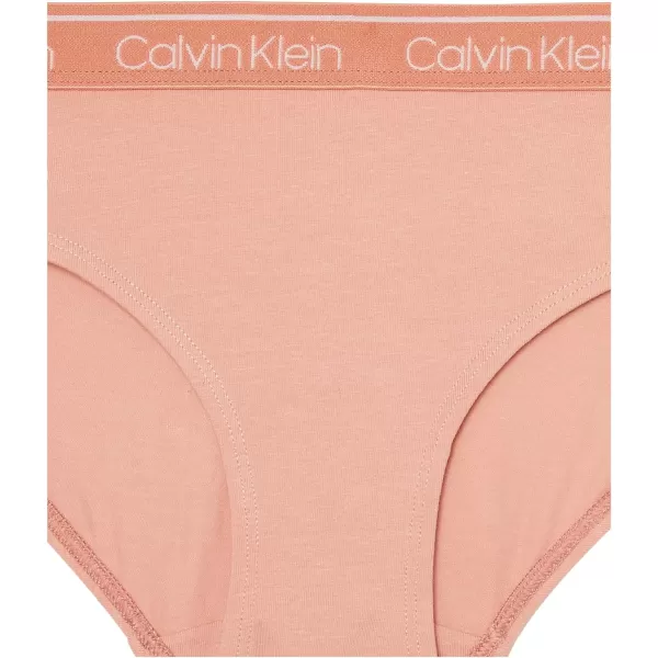 Calvin Klein Girls Modern Cotton Bikini Panty Underwear 3PackNudeRsedwnHny