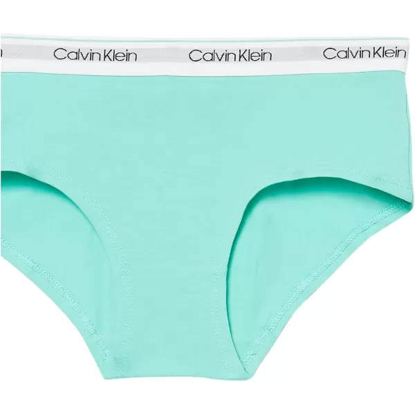 Calvin Klein Girls Modern Cotton Hipster UnderwearSoft LeopardBermudaSachet Pink