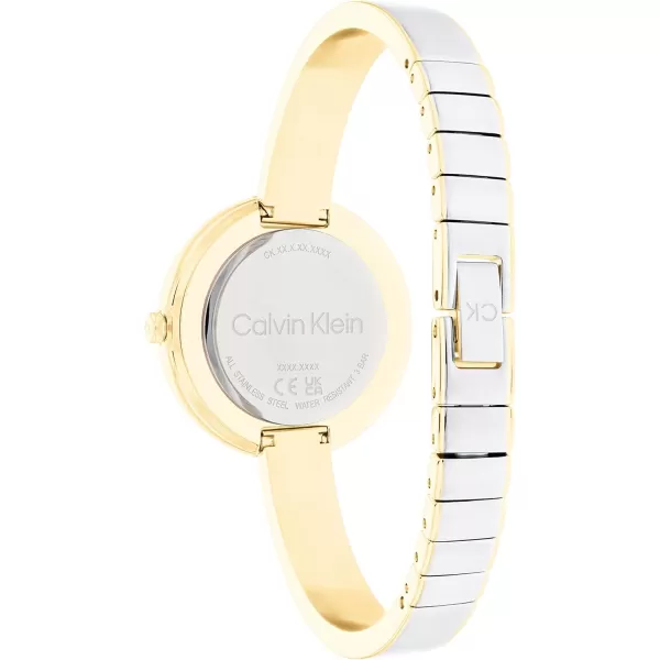 Calvin Klein Ladies Timeless Beauty Watch CollectionTwo Tone