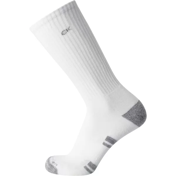 Calvin Klein Mens Athletic Socks  Cushion Crew Socks 10 PackWhiteGrey