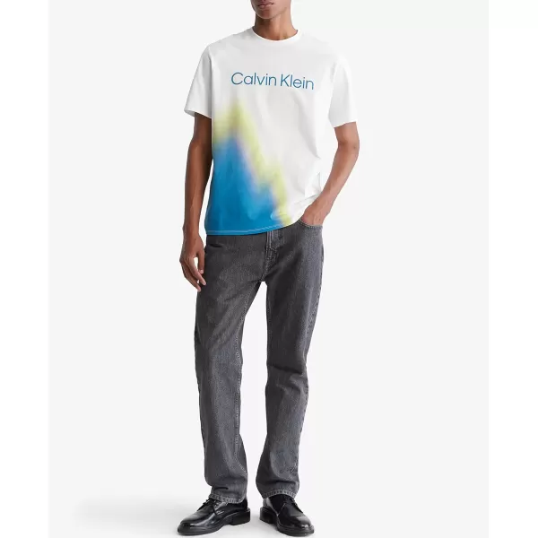 Calvin Klein Mens Relaxed Spray Painted Crewneck TShirtBrilliant White