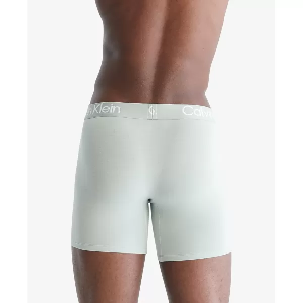 Calvin Klein Mens Ultra Soft Modern Modal Boxer BriefNatural Gray Spring Onion Frosted Fern