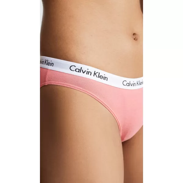 Calvin Klein Womens Carousel Logo Cotton Stretch Bikini Panties 3 Pack3 PomeloPolar LightGrey Heather