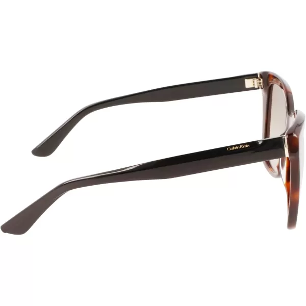 Calvin Klein Womens Ck22530s Rectangular SunglassesBrown Havana