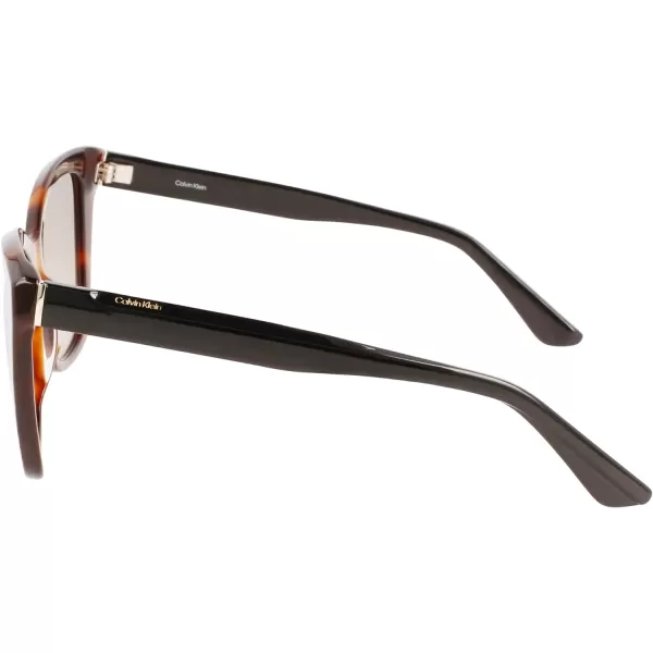 Calvin Klein Womens Ck22530s Rectangular SunglassesBrown Havana