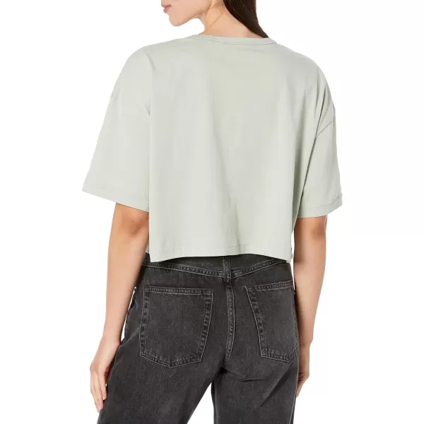 Calvin Klein Womens Flex Short Sleeve CrewneckFrosted Fern