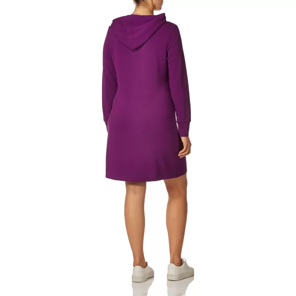 Calvin Klein Womens Long Sleeve Hoodie DressLight Charisma