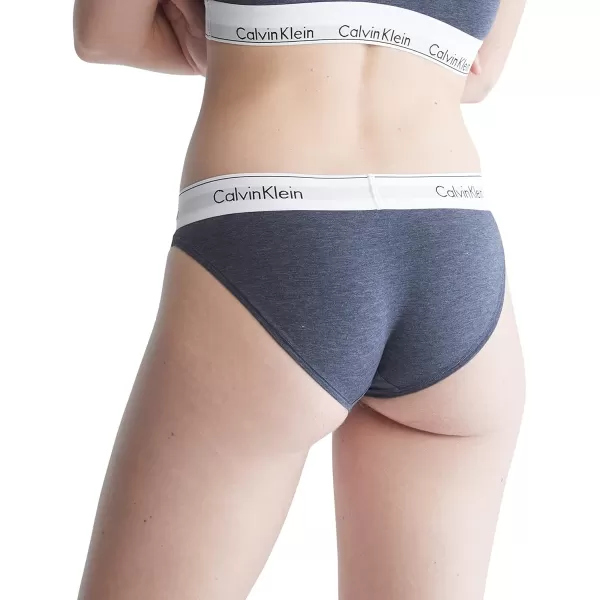 Calvin Klein Womens Modern Cotton Stretch Bikini PantyHemisphere Blue Heather
