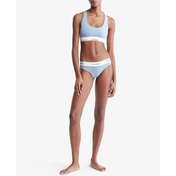 Calvin Klein Womens Modern Cotton Stretch Bikini PantyIceland Blue