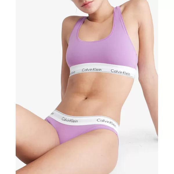 Calvin Klein Womens Modern Cotton Stretch Bikini PantyIris Orchid