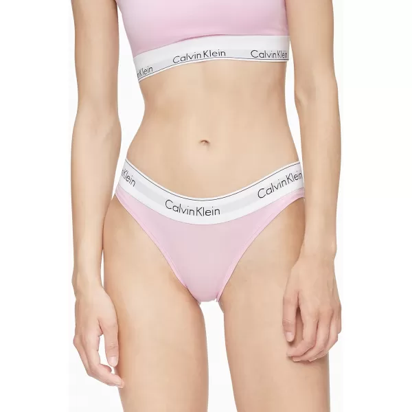 Calvin Klein Womens Modern Cotton Stretch Bikini PantyPale Orchid