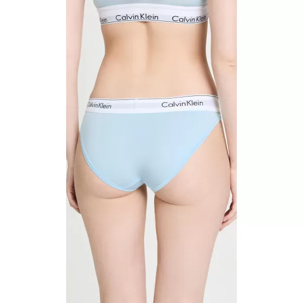 Calvin Klein Womens Modern Cotton Stretch Bikini PantyRain Dance