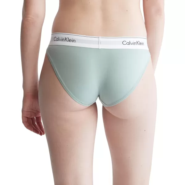 Calvin Klein Womens Modern Cotton Stretch Bikini PantySage Meadow