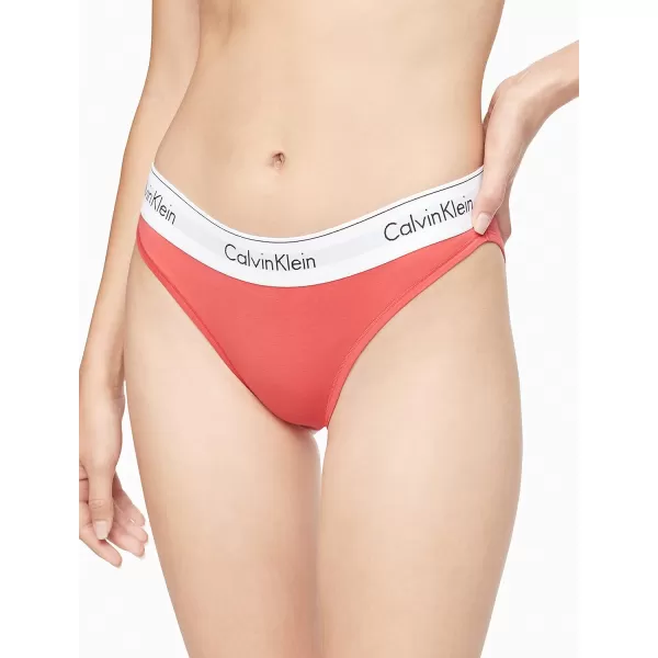 Calvin Klein Womens Modern Cotton Stretch Bikini PantyStrawberry