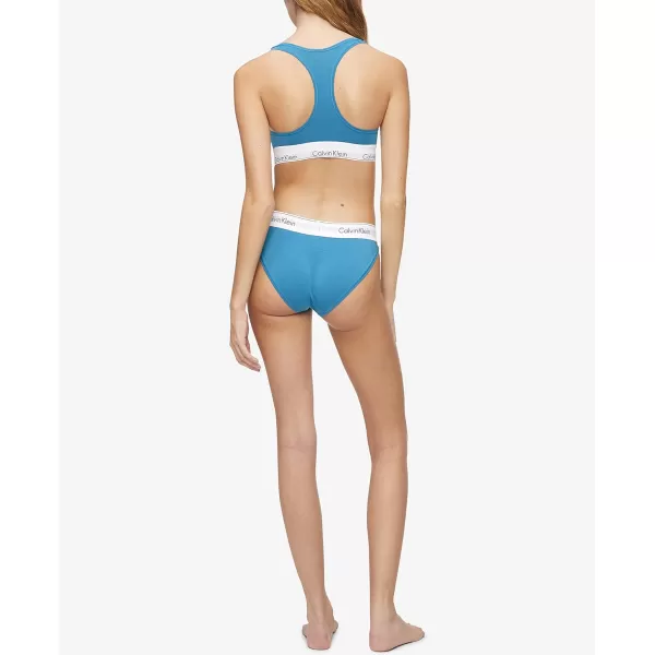 Calvin Klein Womens Modern Cotton Stretch Bikini PantyTapestry Teal