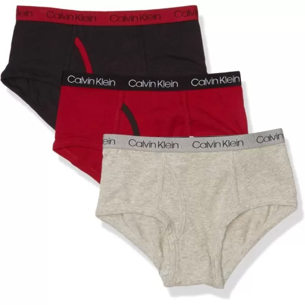 Calvin Klein Boys Little Modern Cotton Assorted Briefs Underwear 3 PackBlack Iris Pack