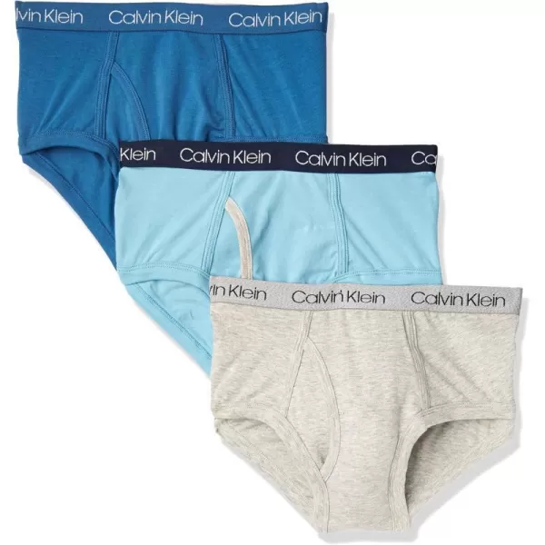 Calvin Klein Boys Little Modern Cotton Assorted Briefs Underwear 3 PackBlue Tie Dye CloudDelphinum BlueBlack Iris