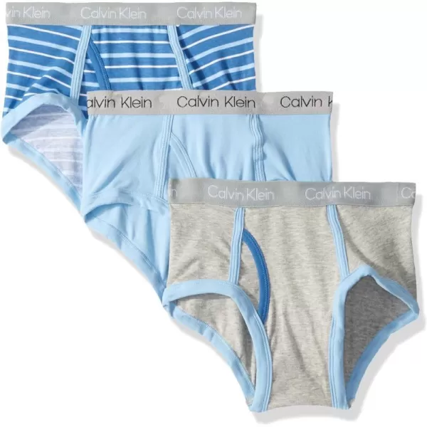 Calvin Klein Boys Little Modern Cotton Assorted Briefs Underwear 3 PackBlue and Grey Stripe Blue Bell Heather Grey