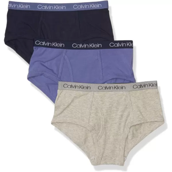 Calvin Klein Boys Little Modern Cotton Assorted Briefs Underwear 3 PackBlueMarlSamb