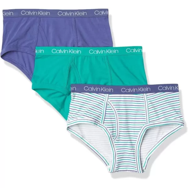 Calvin Klein Boys Little Modern Cotton Assorted Briefs Underwear 3 PackCamoHeather GreyOlive Green