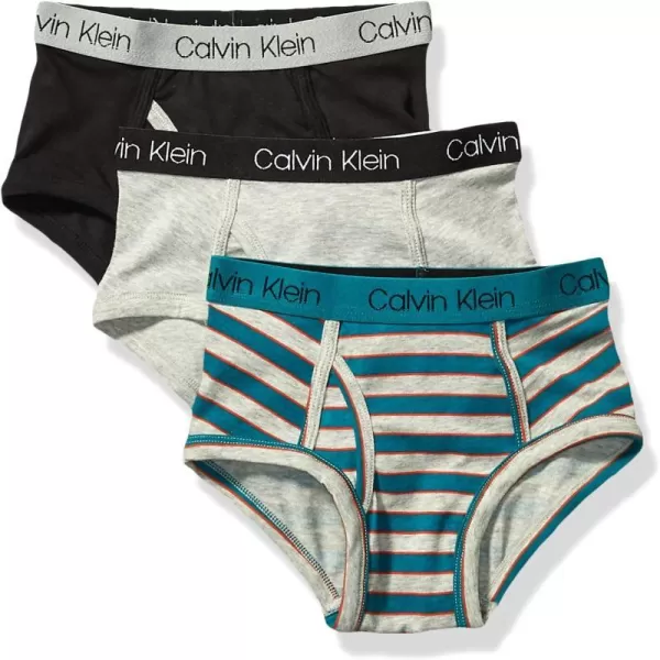 Calvin Klein Boys Little Modern Cotton Assorted Briefs Underwear 3 PackCastle Rock Haight Risk Red Pop Camo Lava