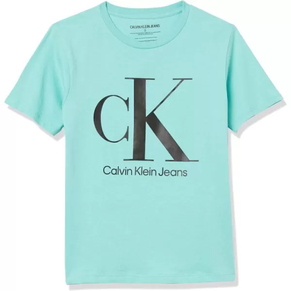 Calvin Klein Boys Short Sleeve Logo Crew Neck TShirt Soft Comfortable Relaxed FitSeafoam Ck Black