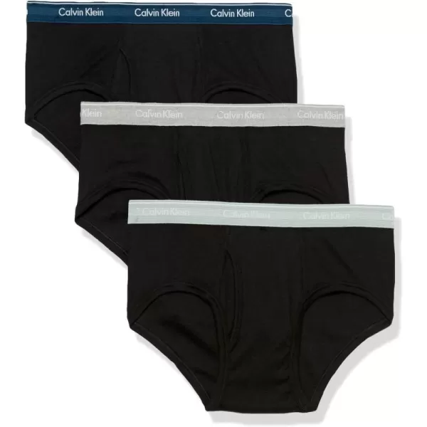 Calvin Klein Mens Cotton Classics 3Pack BriefBlack W Classic Navy Sage Meadow Grey Heather W