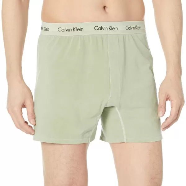 Calvin Klein Mens Cotton Stretch Mineral Dye BoxerEco Green