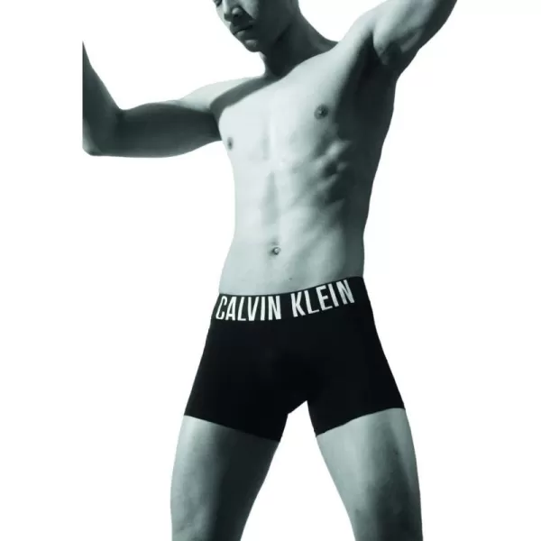 Calvin Klein Mens Intense Power 3Pack Boxer BriefBlack Bodies W Black  Grey Sky  Pompeian Red Logos