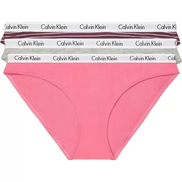 Calvin Klein Womens Carousel Logo Cotton Stretch Bikini Panties 3 Pack3 Feeder Stripe Ripe BerryGrey HeatherPink Smoothie