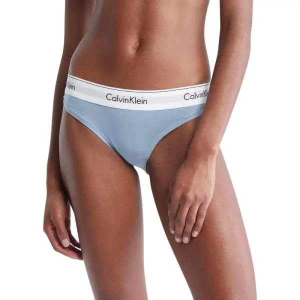 Calvin Klein Womens Modern Cotton Stretch Bikini PantyIceland Blue