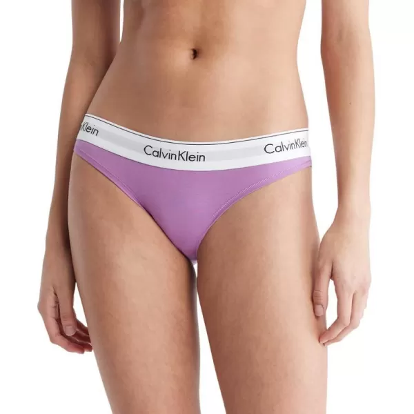 Calvin Klein Womens Modern Cotton Stretch Bikini PantyIris Orchid