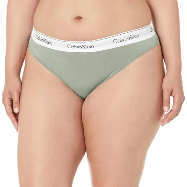 Calvin Klein Womens Modern Cotton Stretch Thong PantiesSage Meadow