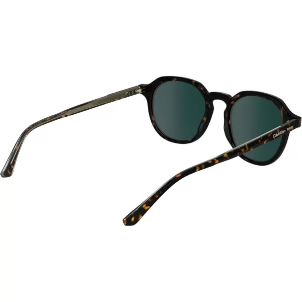 imageCalvin Klein Ck24538s Round SunglassesDark Havana
