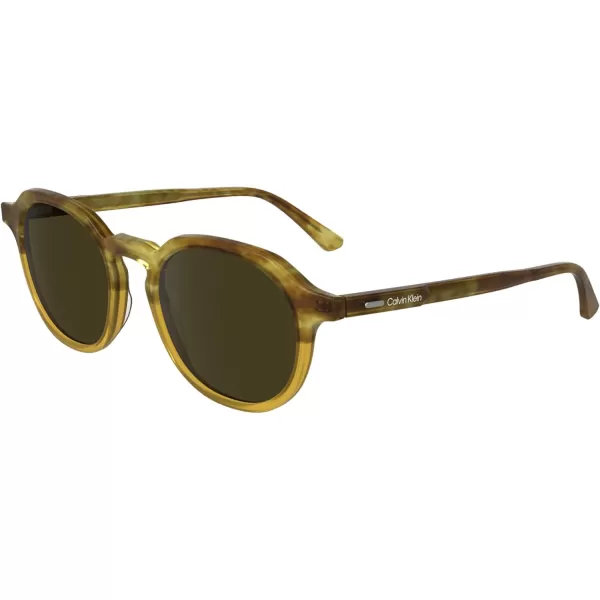 imageCalvin Klein Ck24538s Round SunglassesHoney HavanaHoney