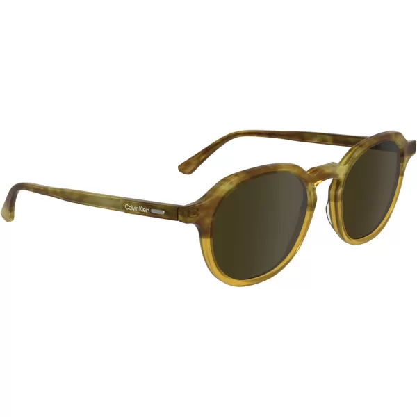 imageCalvin Klein Ck24538s Round SunglassesHoney HavanaHoney