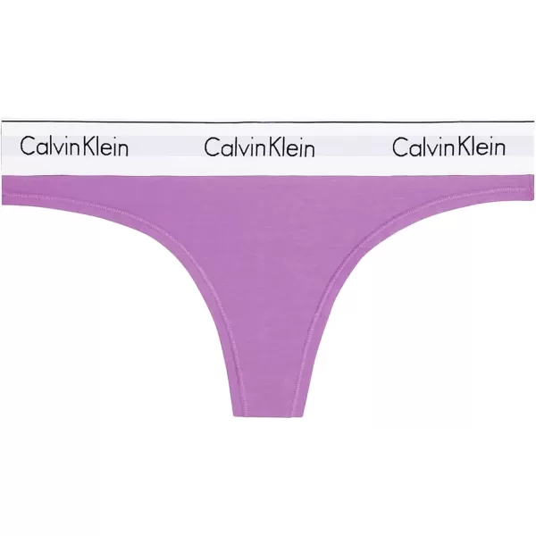 imageCalvin Klein Womens Modern Cotton ThongPantyIris Orchid