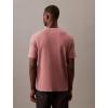 imageCalvin Klein Mens Graphic TeesCapri Rose