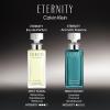 imageCalvin Klein Eternity Eau de Parfum  Floral Womens Perfume  With Notes of Bergamot White Lily White Rose Sandalwood ampamp Amber  Luxury Perfumes for Women  Long Lasting Fragrance1 Fl Oz Pack of 1