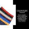 imageCalvin Klein Boys Little Modern Cotton Assorted Briefs Underwear 3 PackBlue and Grey Stripe  Blue Bell  Heather Grey