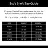 imageCalvin Klein Boys Little Modern Cotton Assorted Briefs Underwear 3 PackBlue and Grey Stripe  Blue Bell  Heather Grey