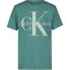 Mono Teal