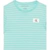 imageCalvin Klein Boys Short Sleeve Striped Crew Neck TShirt Soft Comfortable Relaxed FitLinear Seafoam Fb38