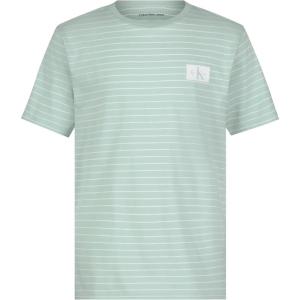 imageCalvin Klein Boys Short Sleeve Striped Crew Neck TShirt Soft Comfortable Relaxed FitExtra Linear Light Sage